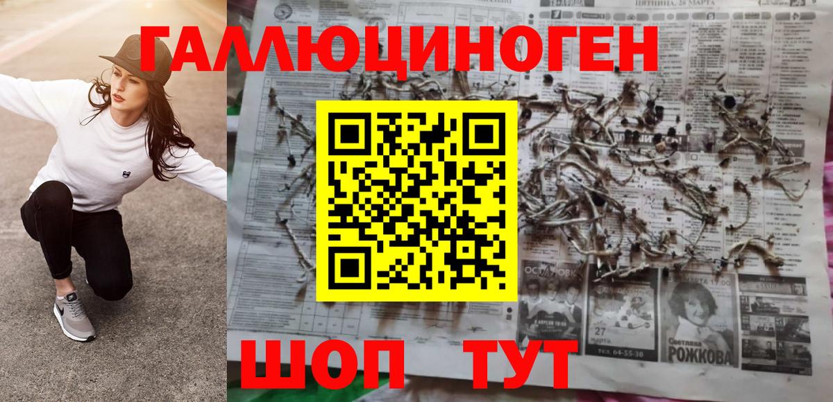 Кумертау  Псилоцибиновые грибы GOLDEN TEACHER  Вход с VPN 