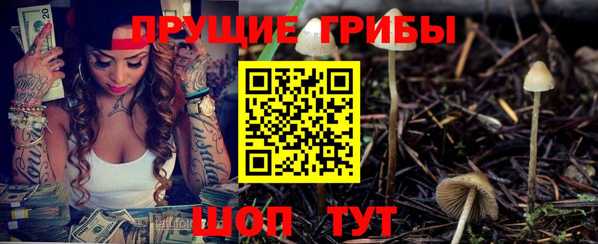 Псилоцибиновые грибы GOLDEN TEACHER Кумертау